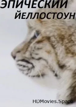 Viasat Nature: Эпический Йеллоустоун (2019)
