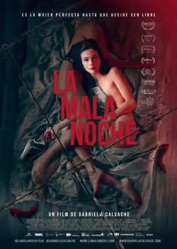 Плохая ночь (2019)