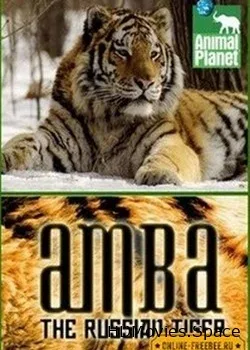 Animal Planet. Амба, русский тигр (2008)