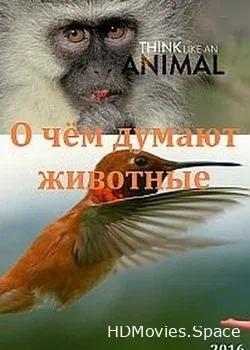 О чём думают животные (2016)