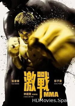 ММА (2013)