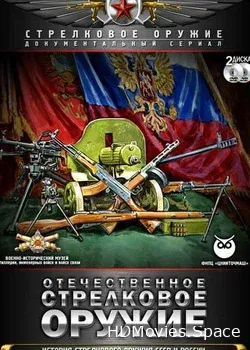 Отечественное стрелковое оружие (2011)