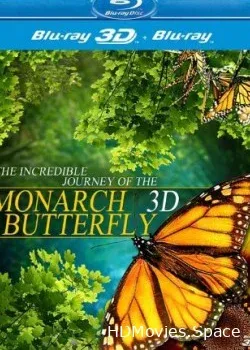Полет бабочки 3D (2012)