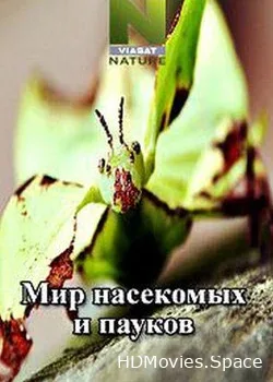 Viasat Nature: Мир насекомых и пауков (2014)