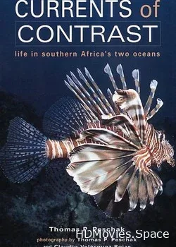 Контрастные океаны (2011)