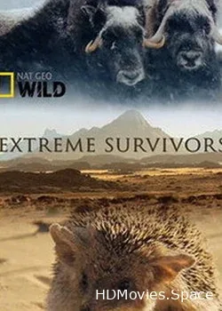 NGW: Выжить несмотря ни на что (2014)