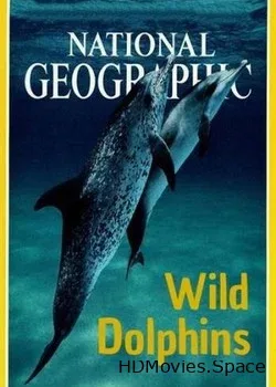 Nat Geo Wild: Дикие дельфины (2017)