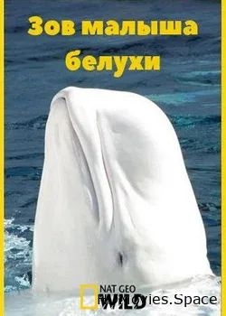 NGW: Зов малыша белухи (2016)