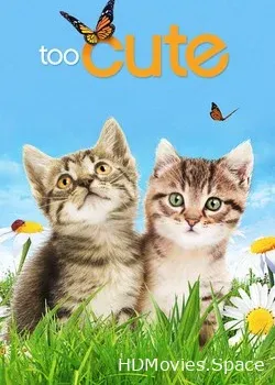 Симпатичные котята и щенки (2011)