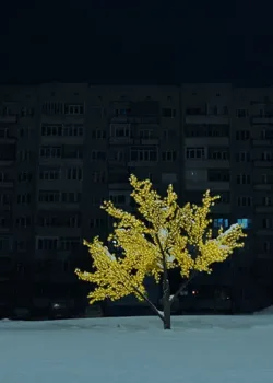 Бессмертный (2019)