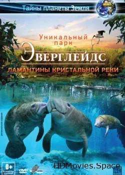 Эверглейдс 3D: Ламантины Кристальной реки 3D (2012)