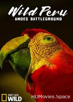 NGW: Дикая природа Перу: арена боев - Анды (2018)