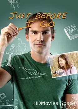 Прежде чем я уйду (2013)
