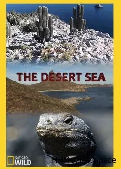 NGW: Пустынное море (2016)
