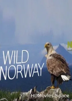 Дикая Норвегия (2017)