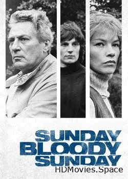 Воскресенье, проклятое воскресенье (1971)