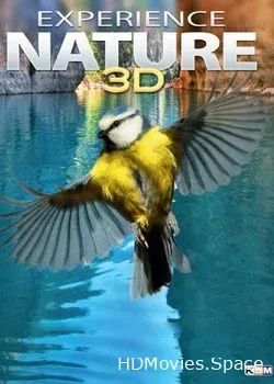 Изучая природу 3D  (2012)