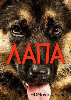 Лапа (2015)