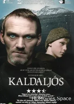 Холодный свет (2004)