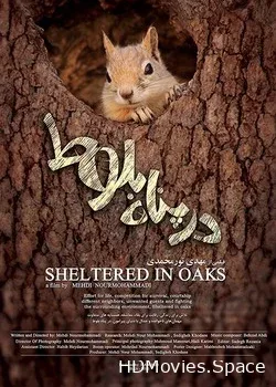 Сокрытые в дубах (2016)