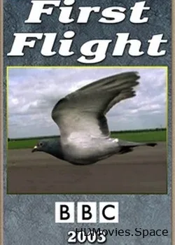 BBC. Первый полет (2003)