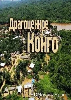 Драгоценное Конго (2018)