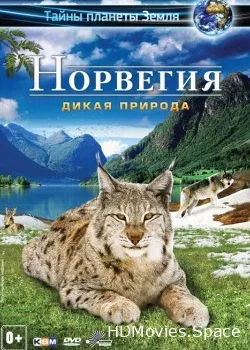 Норвегия 3D: Дикая природа (2013)