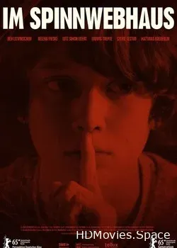 В доме из паутины (2015)