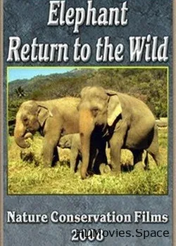 Слоны. Возвращение к природе (2008)