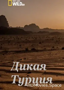 Дикая Турция (2015)
