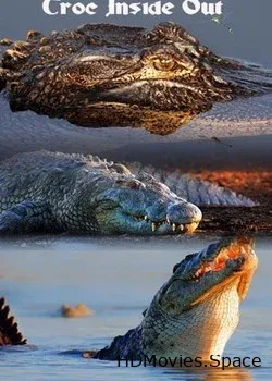 Nat Geo Wild: Секреты крокодила (2015)