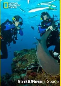 Nat Geo Wild: В опасных водах Австралии. Обед для акул (2010)