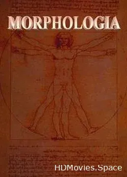 Морфология (2013)