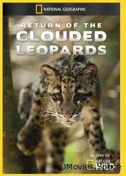 National Geographic. Возвращение дымчатых леопардов (2011)