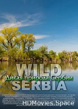 Дикая природа Сербии (2011)