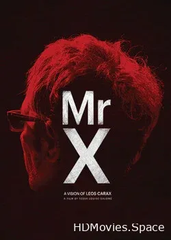 Мистер Икс (2014)