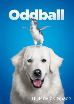 Чудак (2015)