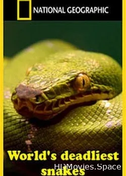 Nat Geo Wild: Самые опасные змеи в мире (2010)