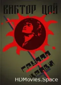 Виктор Цой. Группа крови (2010)