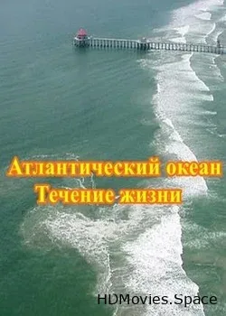 Атлантический океан. Течение жизни (2015)