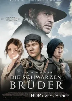 Черные братья (2013)