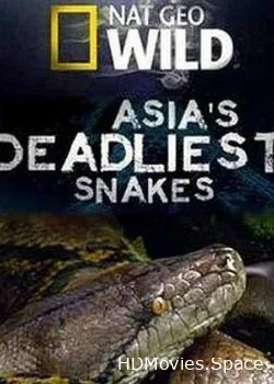 National Geographic. Самые опасные змеи Азии (2010)