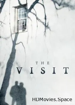 Визит (2015)