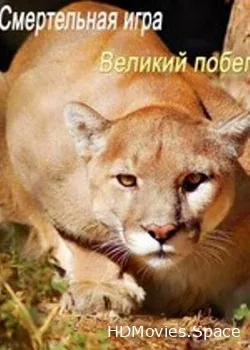 Nat Geo Wild: Смертельная игра (2015)