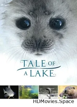 Сказка озера (2016)