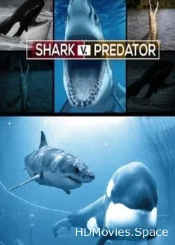 Nat Geo Wild: Акула против хищника (2017)
