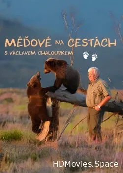 Медвежата путешественники (2013)