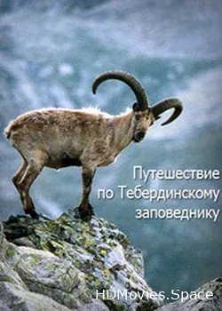 Путешествие по Тебердинскому заповеднику (2013)