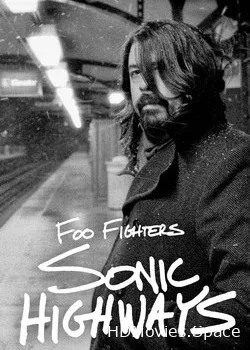 Foo Fighters (2014)