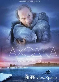 Находка (2015)